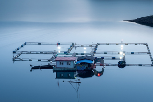 壁掛式多參數分析儀MPG-6099-水產養殖